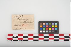 Etikett zu Bronzemehrkopfnadel (NHMW-PRAE-025952)